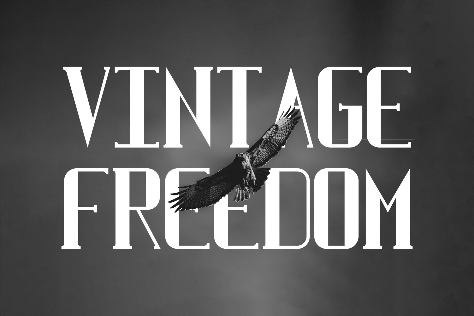 Amul, font designer designed this Classic Vintage Freedom font with an essence of nostalgia and elegance.