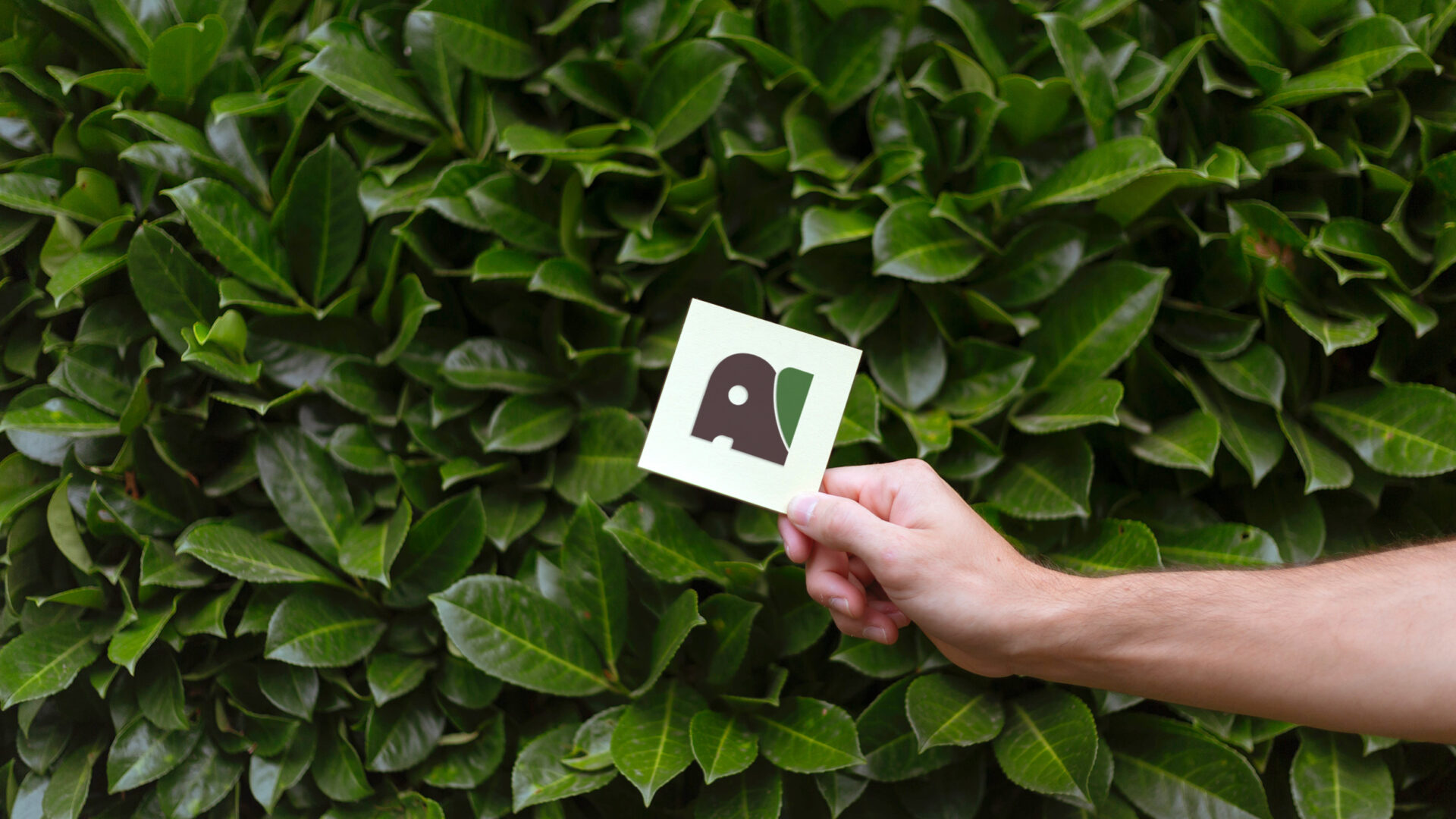 Earthen Elephant Logo Mockup - A whimsical and eco-friendly logo featuring a friendly elephant face adorned with a green leaf, symbolizing sustainability and playful imagination.
