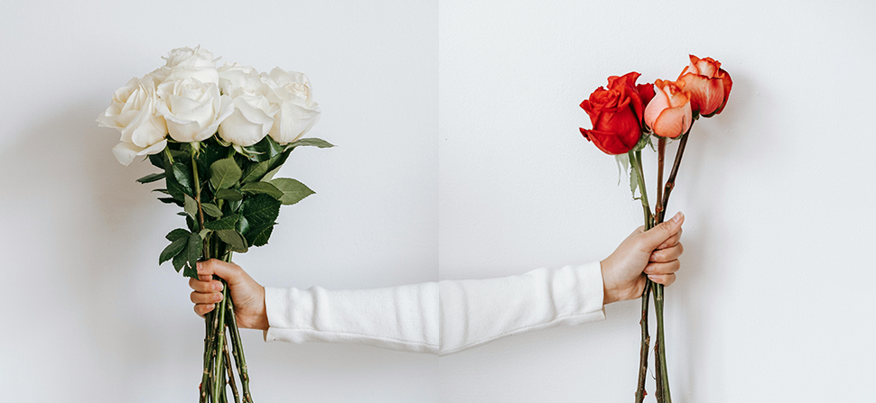 An image featuring two hands, one holding vibrant red flowers and the other holding pure white blooms, symbolizing the interplay of cultural influences on color perception.