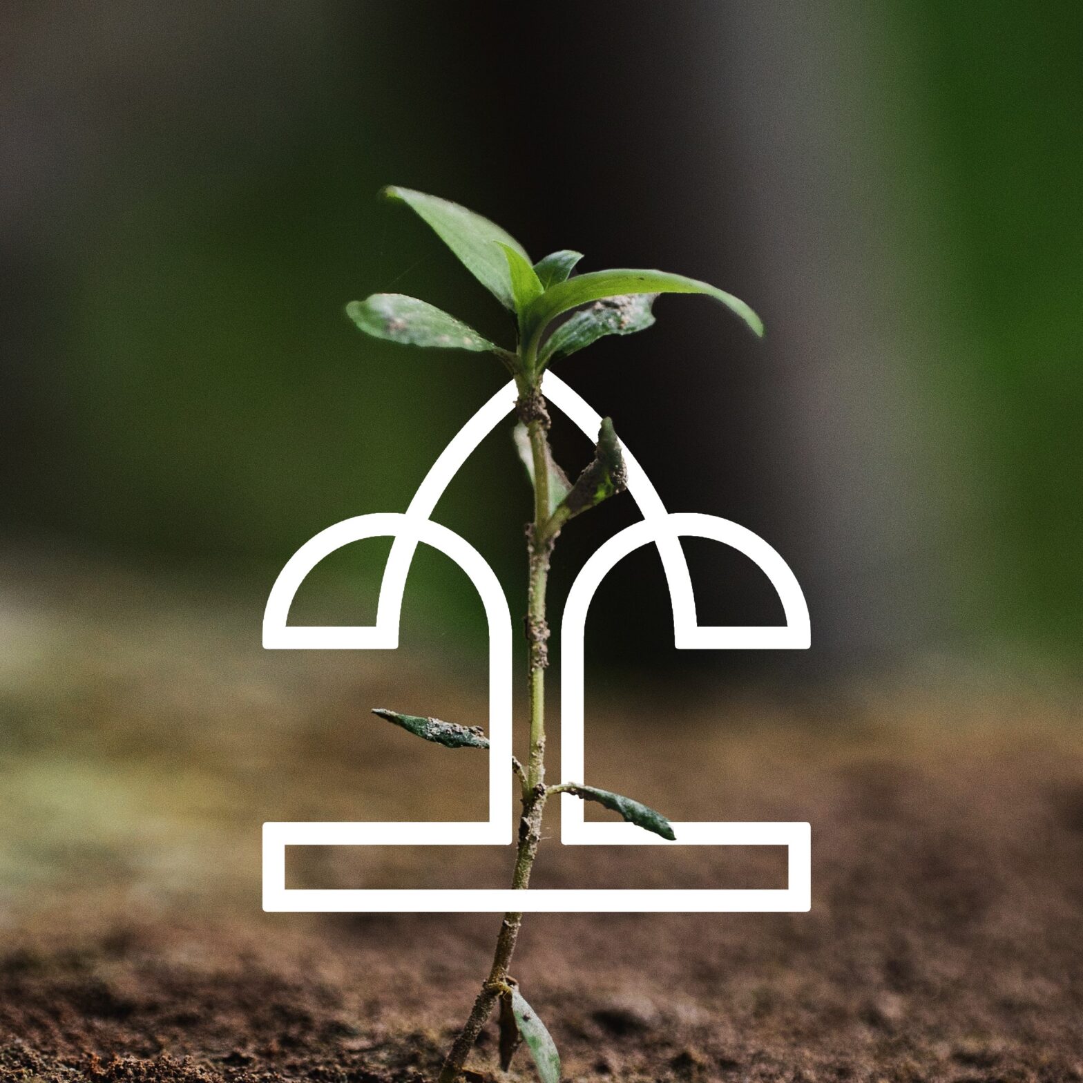 Tree logo symbolizing sustainable growth and environmental protection.