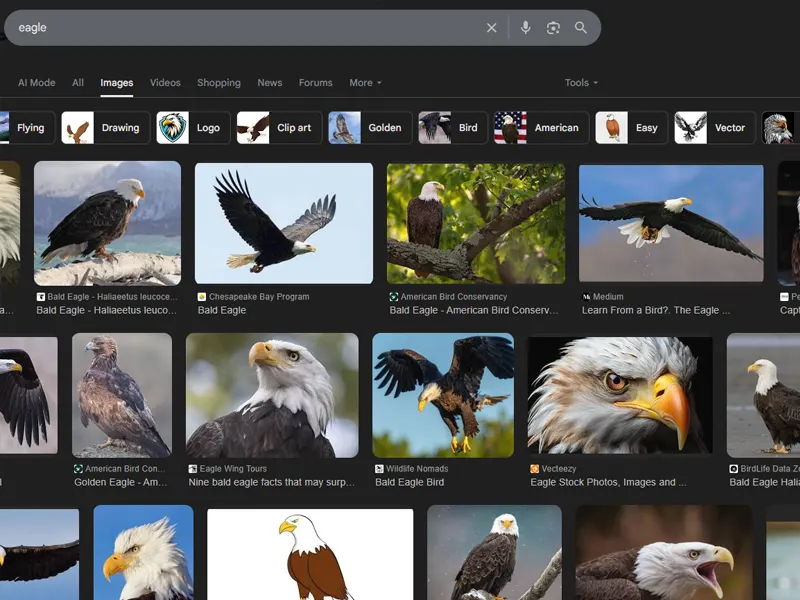 Eagle inspired automotive logo concept exploration