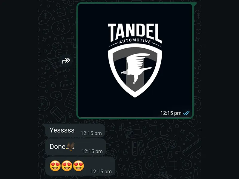 Final logo design decided by tandel automotive as their final automotive branding icon